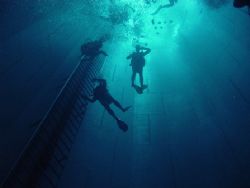NEMO33
34 meters deep in swimming pool in Belgium.
Digi... by Koos Kozel 